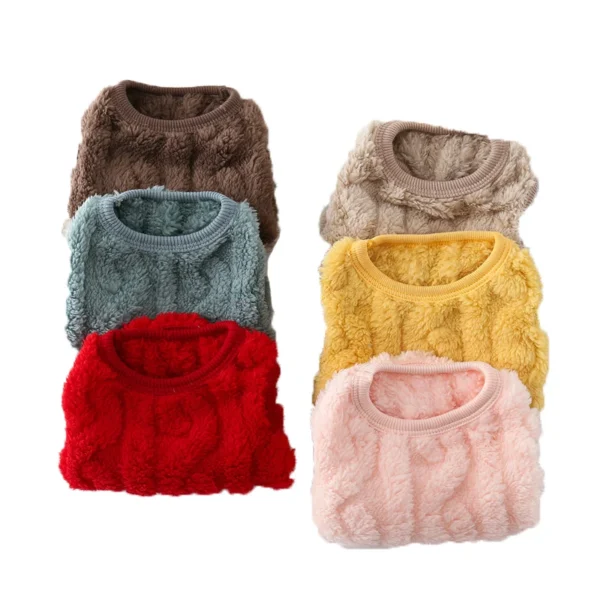 Plush warm cat sweater with different colors