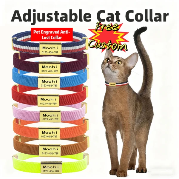 Customized Engraved Cat ID Collar