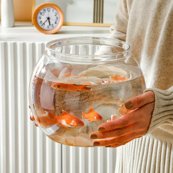 Transparent Round  Fish Tank Portable Goldfish  Bowl