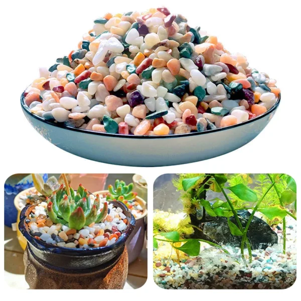 Aquarium  Fish Tank  Air Plant Decorative  Colored Stones