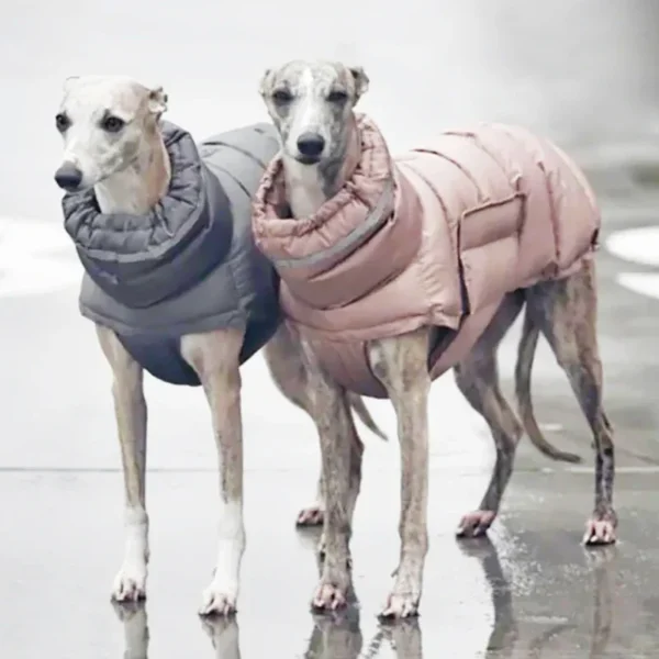 Warm Waterproof Dog Coat With Fleece Lining