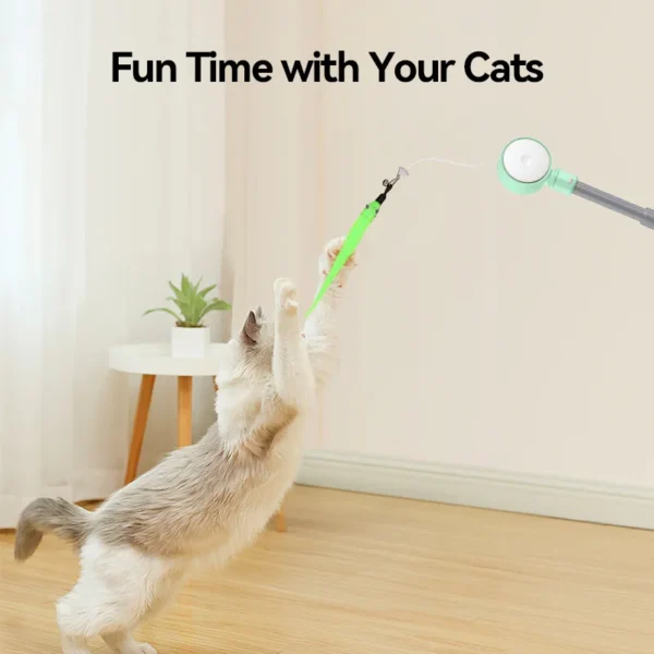 Cat Toy Laser  Teaser Wand